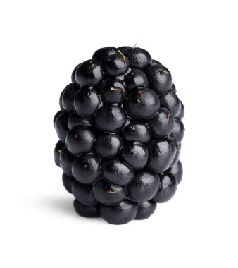 One tasty ripe blackberry isolated on white