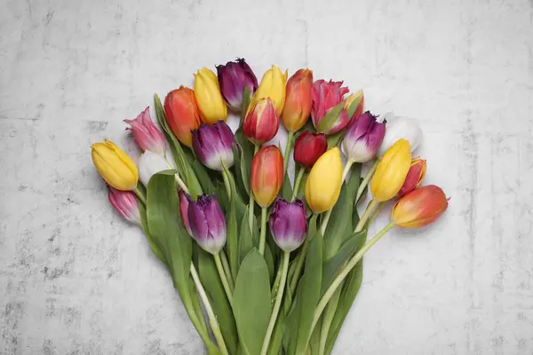 Beautiful Colorful Tulip Flowers White Stone Background Top View — Stock Photo, Image