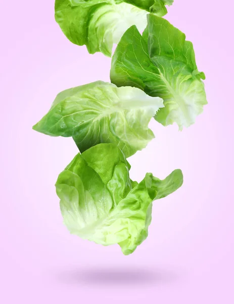Leaves of butter lettuce falling on pale violet background