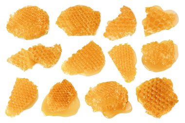 Beyaz üzerine izole edilmiş bal peteği parçaları ile ayarla