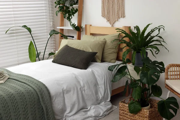 Большая Удобная Кровать Горшечные Растения Стильной Спальне Дизайн Интерьера — стоковое фото