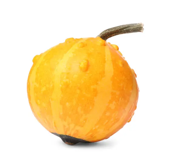 白で隔離された新鮮なオレンジ色のカボチャ — ストック写真