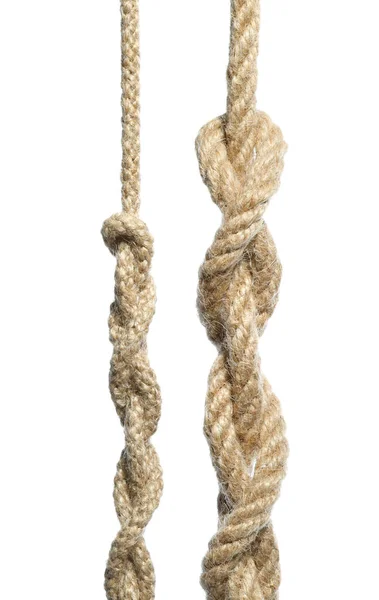 白で隔離された結び目が付いている2つの麻のロープ — ストック写真