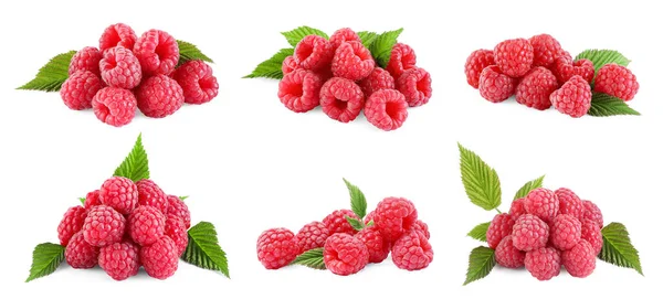 Set Fresh Ripe Raspberries Green Leaves Isolated White — Stock Photo, Image