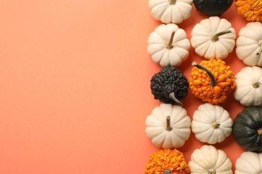 Mercan zemin üzerinde farklı olgun balkabakları, düz yatıyordu. Metin için boşluk