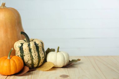 Şükran Günü. Birçok farklı balkabağı ve kuru yapraklar ahşap masa üzerinde, metin için boşluk