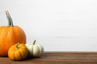 Şükran Günü. Ahşap masada bir sürü farklı balkabağı, metin için boşluk