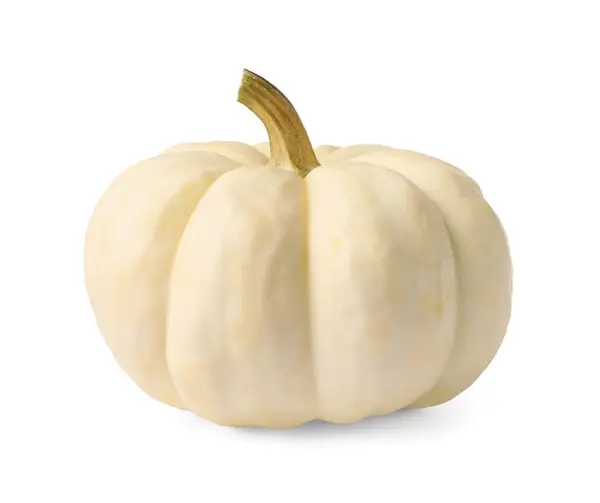 One Fresh Ripe Pumpkin Isolated White — Stock Photo, Image