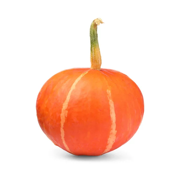 One Whole Ripe Pumpkin Isolated White — Stock Photo, Image