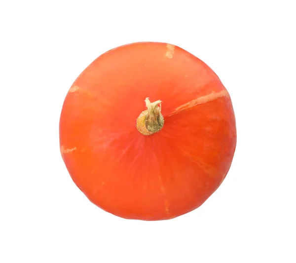 Una Calabaza Naranja Fresca Aislada Blanco Vista Superior — Foto de Stock