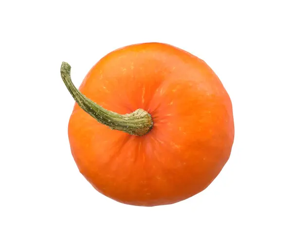 Ein Frischer Orangefarbener Kürbis Isoliert Auf Weißem Grund Ansicht Von — Stockfoto