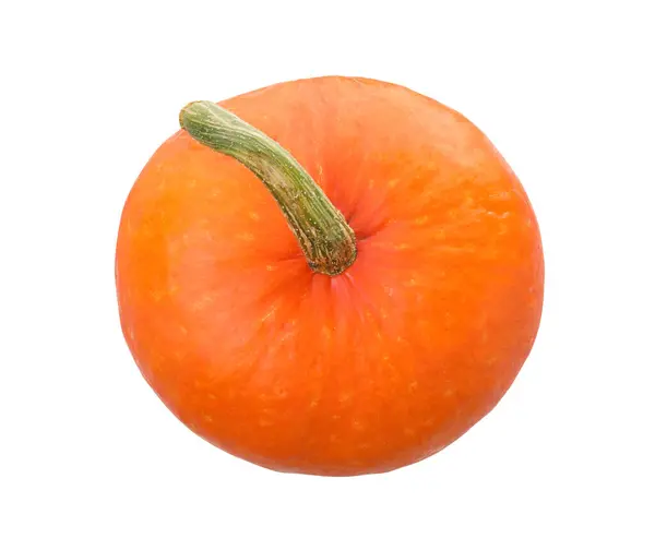 One Fresh Orange Pumpkin Isolated White Top View — Stock Photo, Image