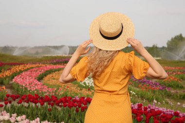 Güzel lale tarlasında hasır şapkalı bir kadın.