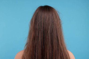 Woman with damaged messy hair on light blue background, back view clipart