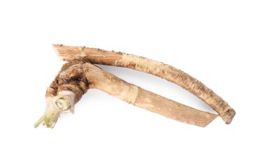 Taze kesilmiş yabanturpu kökü beyaz, üst görünümde izole