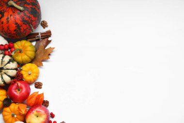 Şükran Günü. Beyaz arkaplan üzerinde kabak ile düz bileşim, metin için boşluk