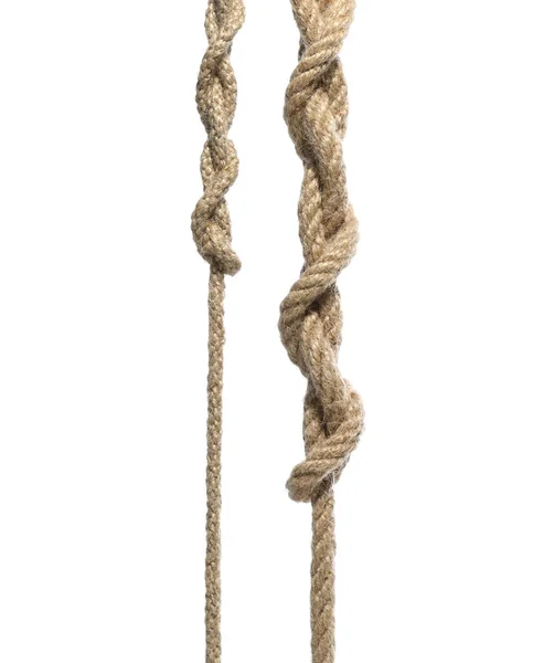白で隔離された結び目が付いている2つの麻のロープ — ストック写真
