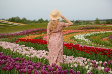 Güzel lale tarlasında bir kadın, arka manzara