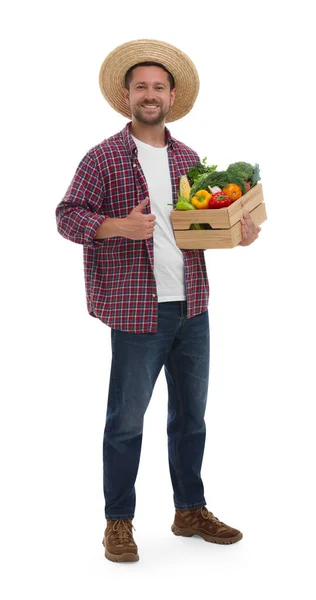 Temporada Colheita Agricultor Feliz Segurando Caixa Madeira Com Legumes Mostrando — Fotografia de Stock