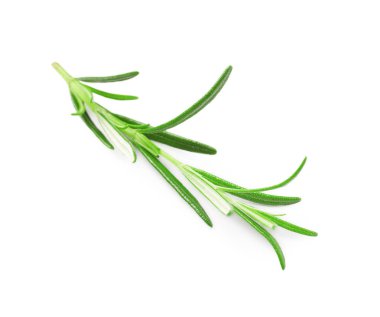 Taze biberiye beyaz izole fışkın