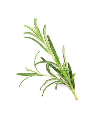 Taze biberiye karışımı. Beyazda izole edilmiş. Üst manzara.