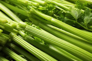 Arka plan olarak birçok taze yeşil kereviz demetleri, yakın plan