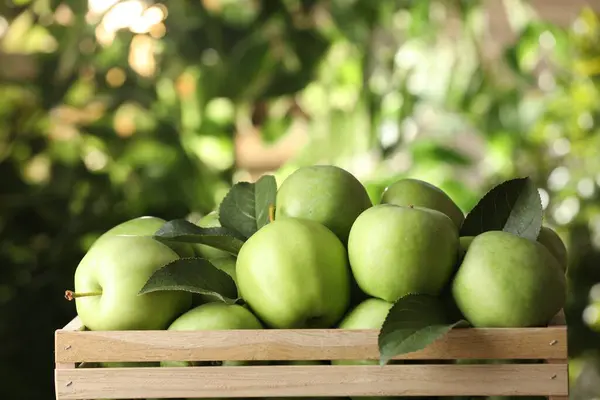 Crate Full Mogna Gröna Äpplen Och Blad Suddig Bakgrund Närbild — Stockfoto