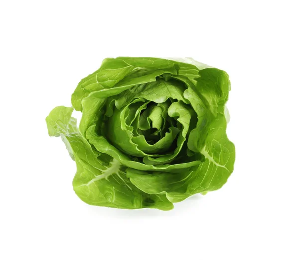Fresh Green Romaine Lettuce Isolated White — Stock Photo, Image