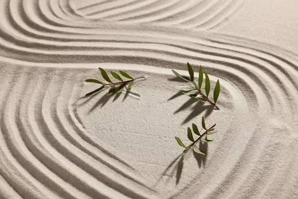 Beautiful lines and branches on sand. Zen garden