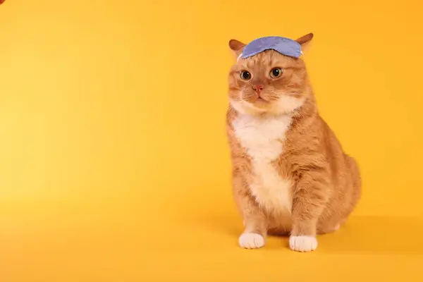 Cute ginger cat with sleep mask on orange background, space for text