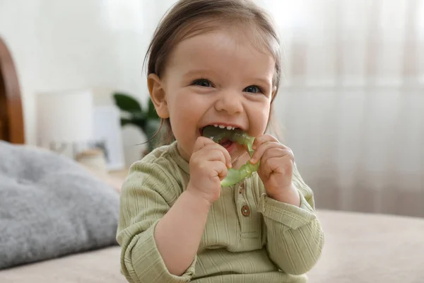 かわいい 赤ん坊 ととも Teething おもちゃ — ストック写真