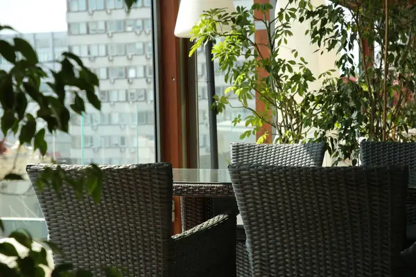Beobachtungsbereich Café Tisch Stühle Und Grüne Pflanzen Auf Der Terrasse — Stockfoto