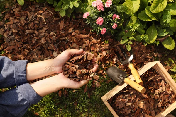 庭で樹皮チップと美しい花をマルチする女性 トップビュー — ストック写真