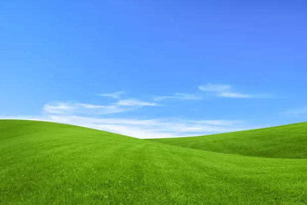 Пышная Зеленая Трава Ярко Голубым Небом Облаками — стоковое фото