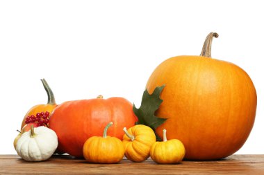 Şükran günün kutlu olsun. Balkabakları ve böğürtlenler beyaz arka plana karşı ahşap masada