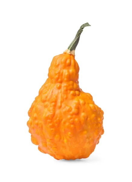 One Fresh Orange Pumpkin Isolated White — Stock Photo, Image