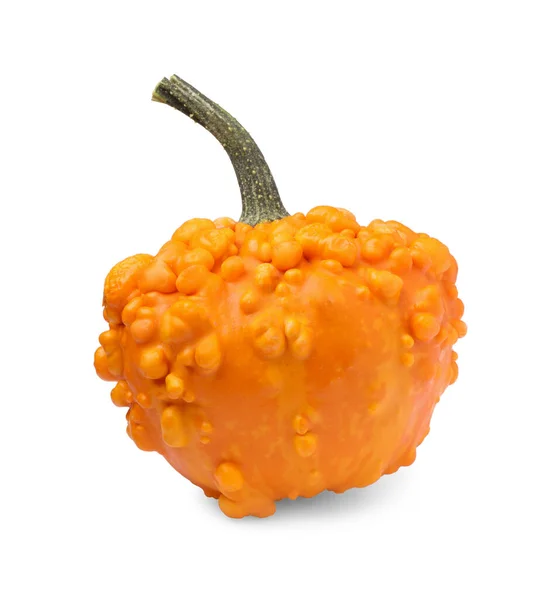 One Whole Ripe Pumpkin Isolated White — Stock Photo, Image