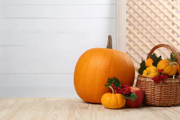 Happy Thanksgiving Day Composition Pumpkins Berries Wooden Table Space Text — Stock Photo, Image