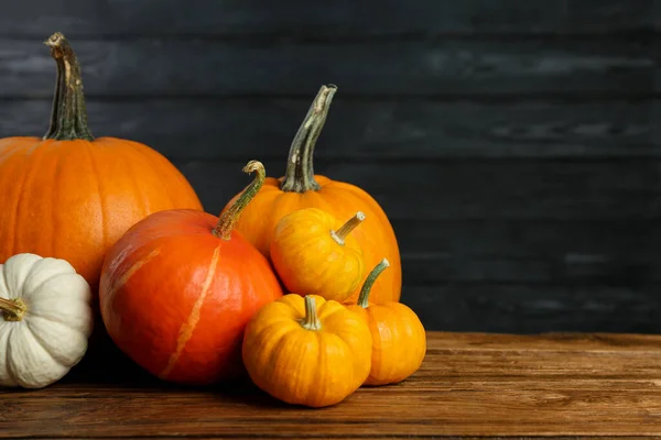 stock image Thanksgiving day. Many different pumpkins on wooden table, space for text