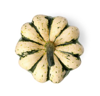 Taze olgun bir balkabağı, beyaz bir manzarada izole edilmiş.