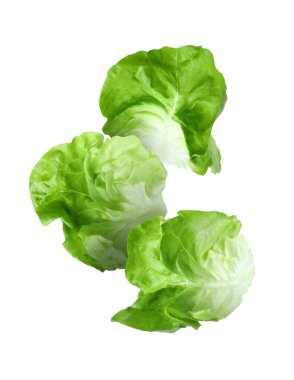 Beyaz arka plana düşen marul yaprakları