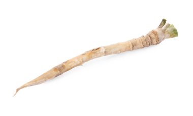 Bir taze yaban turpu kökü beyaza izole edilmiş.