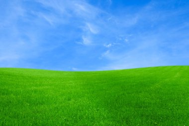 Parlak mavi gökyüzünün altında yemyeşil çimenler ve bulutlar.