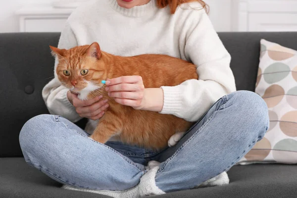 Woman giving pill to cute cat on sofa indoors, closeup