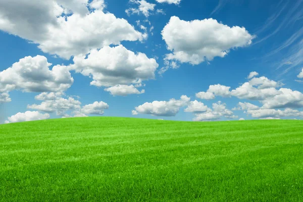 Lysande Grönt Gräs Klarblå Himmel Med Fluffiga Moln — Stockfoto