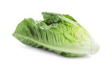 Taze yeşil romaine marulu beyaza izole edilmiş.
