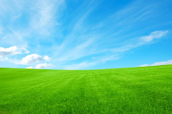 Пышная Зеленая Трава Ярко Голубым Небом Облаками — стоковое фото