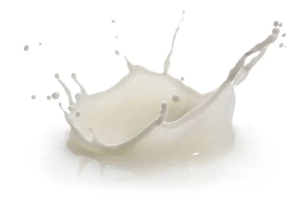 白で隔離新鮮な牛乳のスプラッシュ — ストック写真