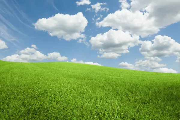 Lysande Grönt Gräs Klarblå Himmel Med Fluffiga Moln — Stockfoto