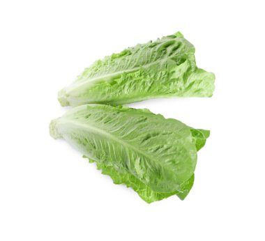Taze yeşil romaine marulları beyaz, üst görünümde izole.